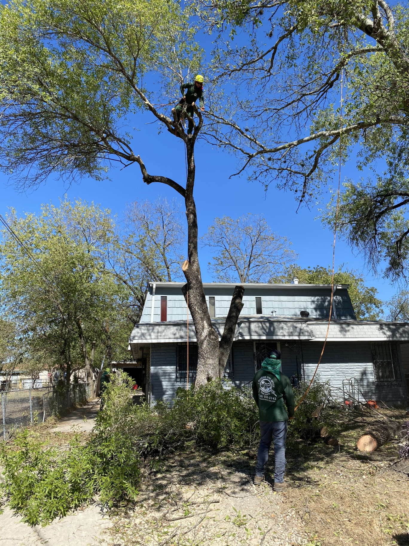 Tree Planting in San Antonio