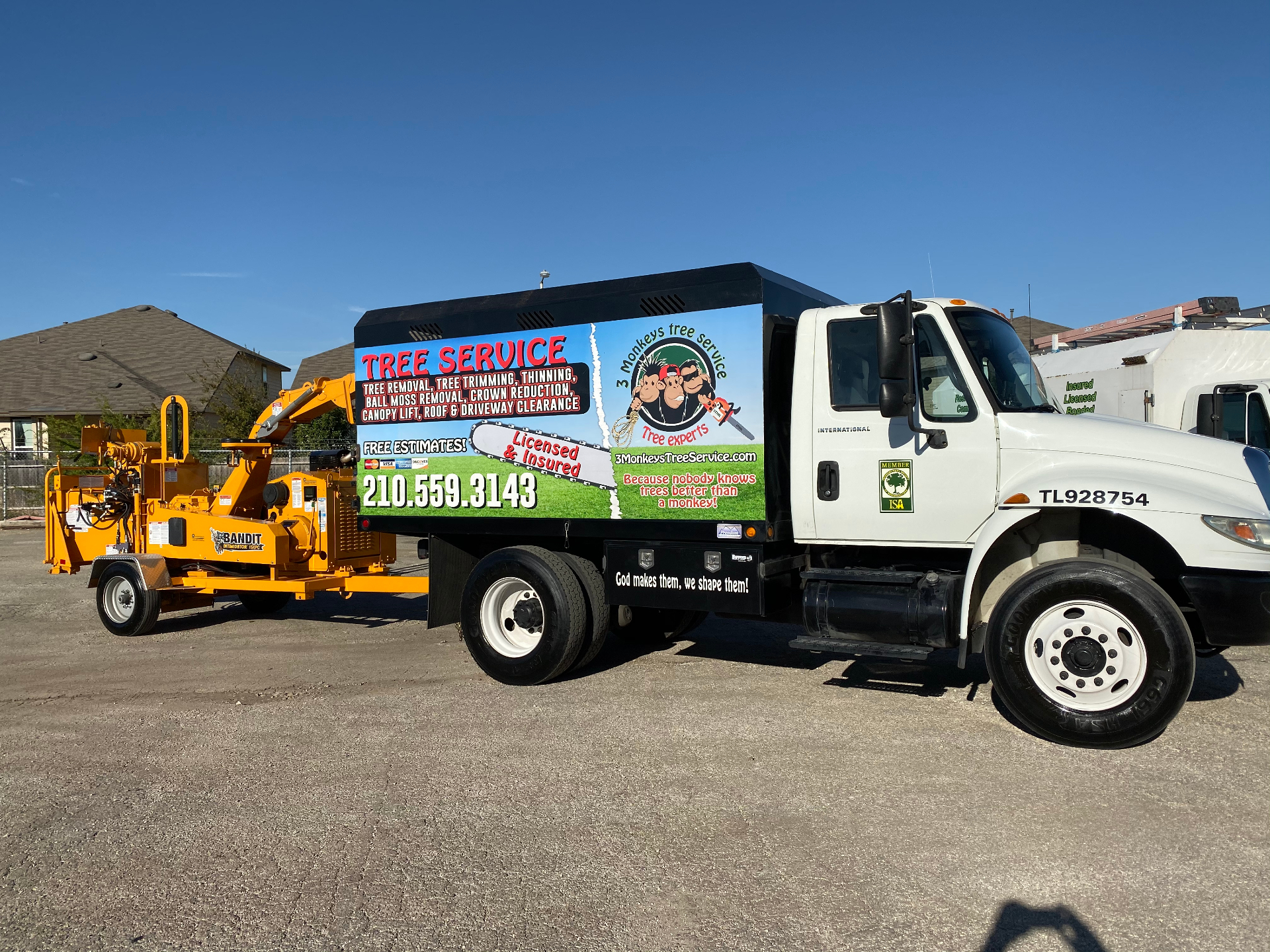 Tree Risk Assessment in San Antonio