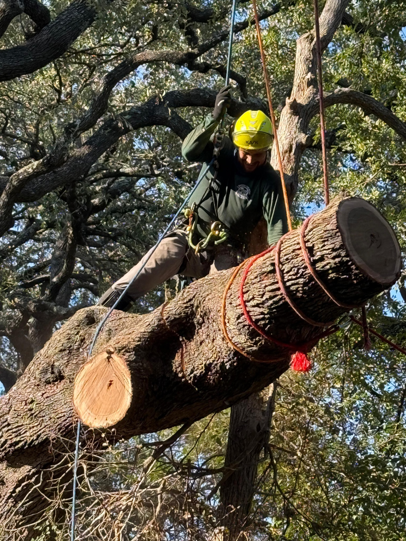 Root Barrier Installation in San Antonio